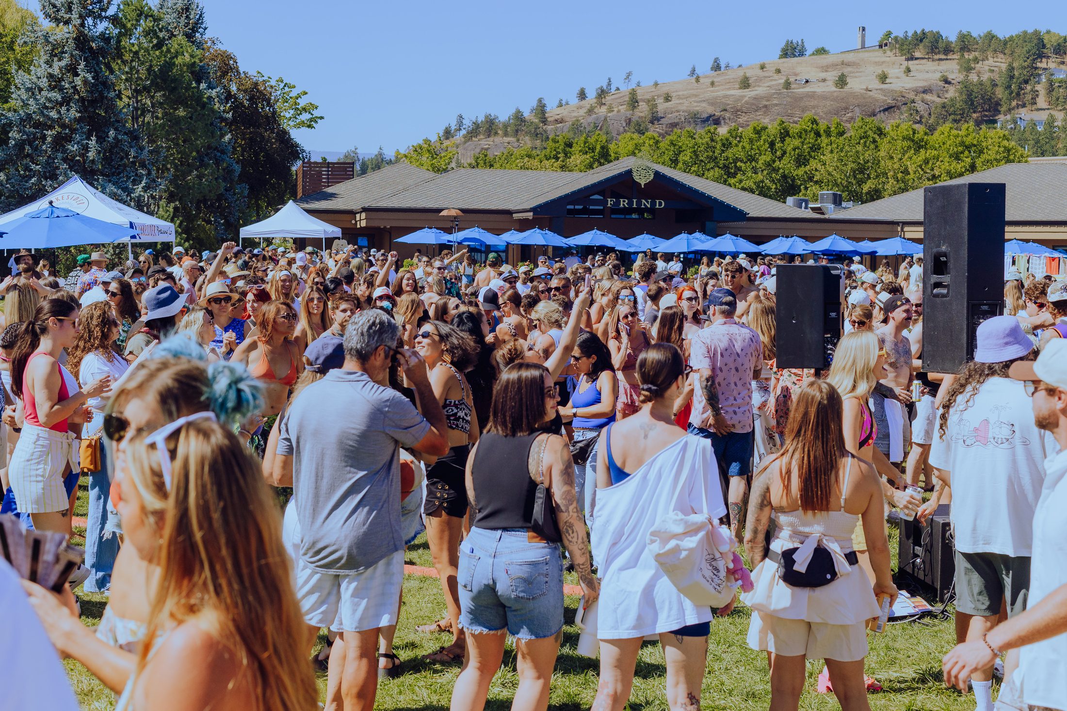 A full winery patio moving to the music